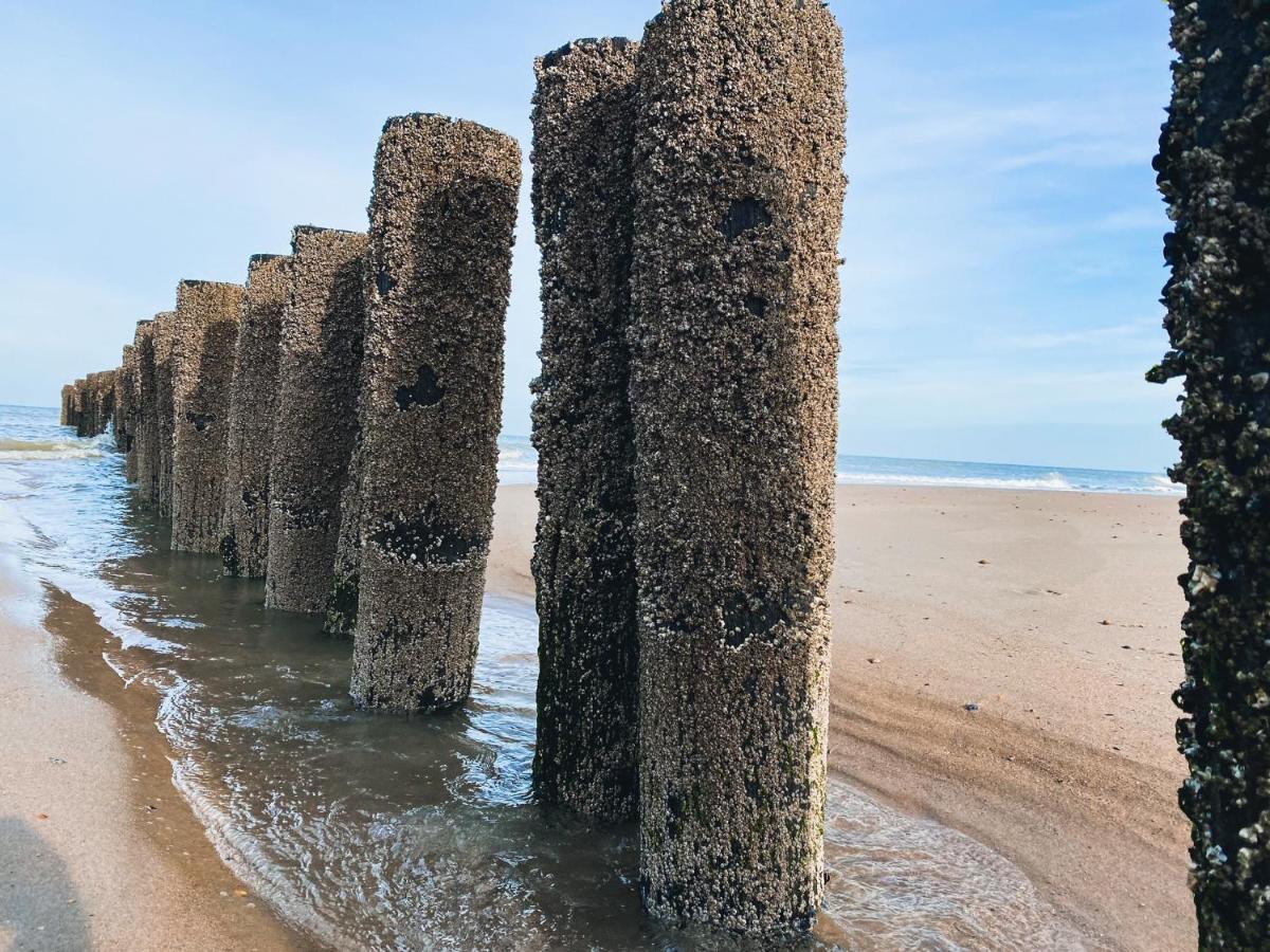 Vakantiehuis Domburg Do33 Ngoại thất bức ảnh